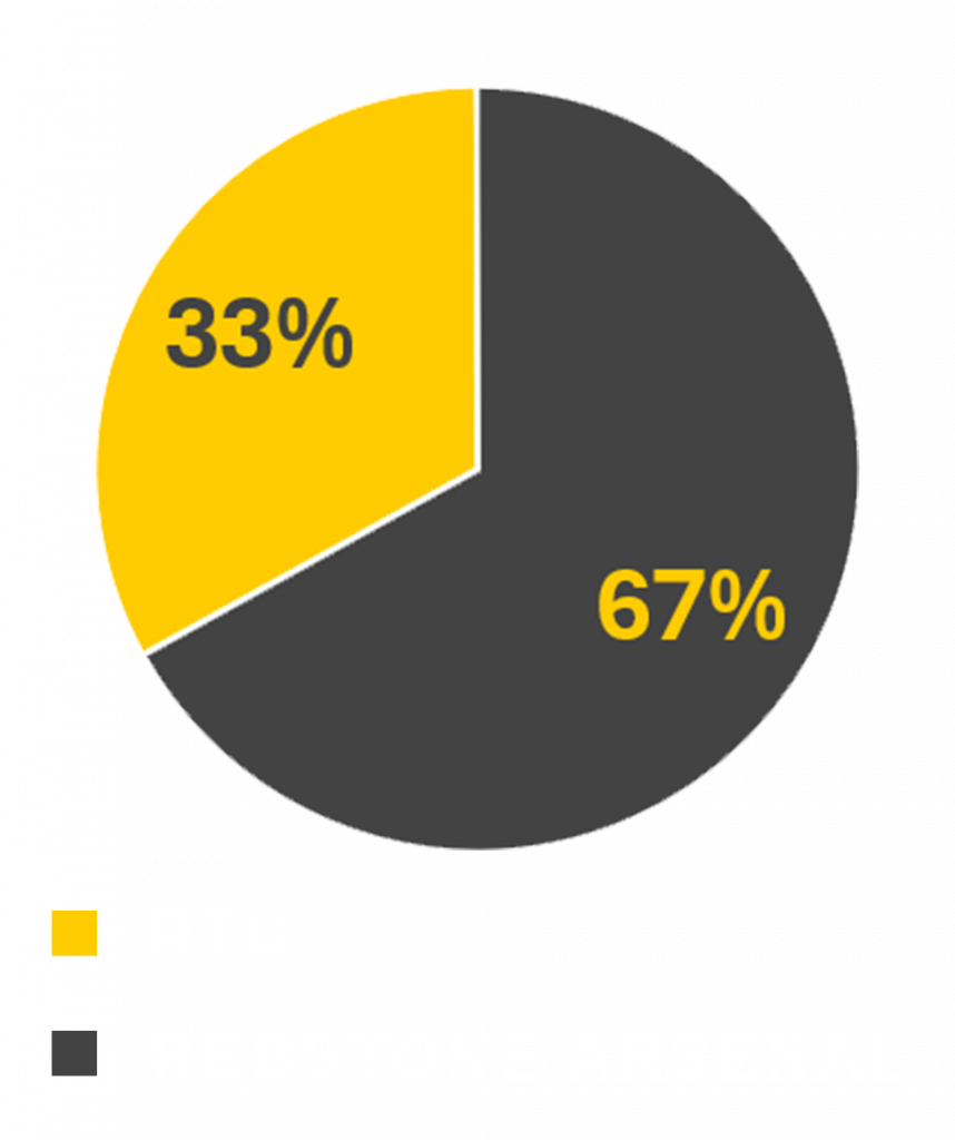 RTC Workforce Pie Chart